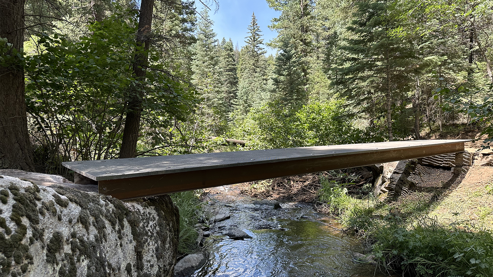 frp bridge in a forest over a stream.