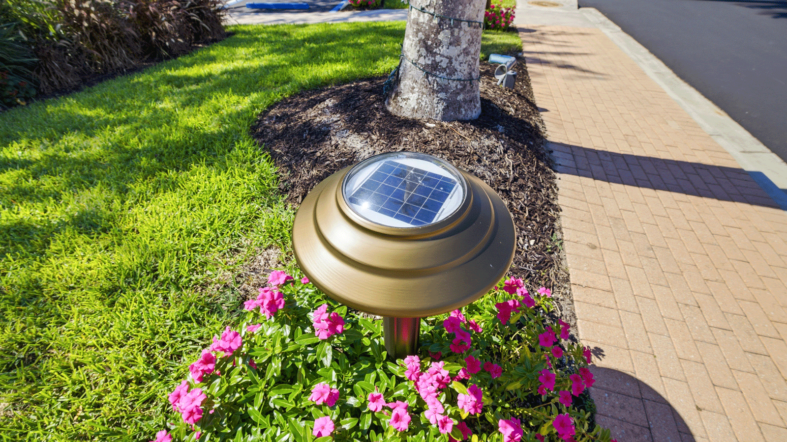 Solar bollard with pink flowers at the base in daylight.