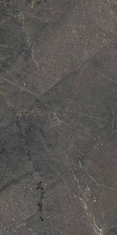 LEA-piedmont-dark-01