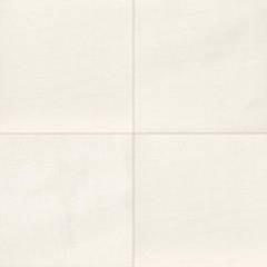 CAEIT-SandyWhite-1200