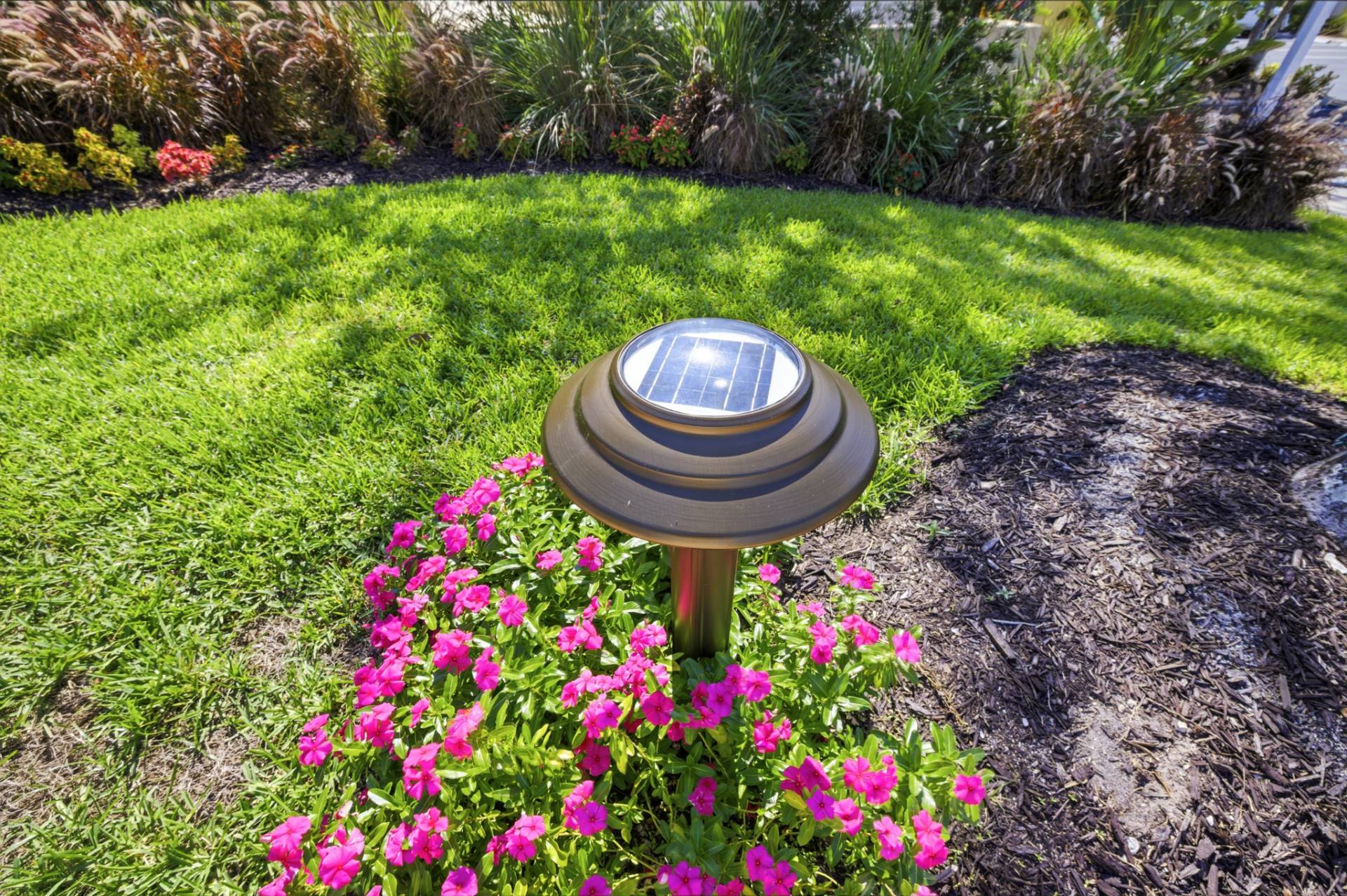 solar bollard in a pink flower patch